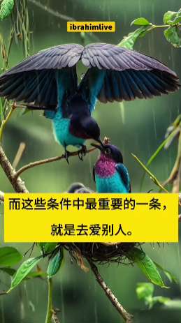 象征着爱与分享，带给人温暖与安宁感的视觉画面